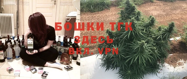 твердый Алексин