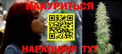 индика Обь